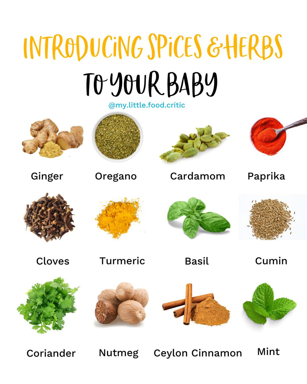 Introducing Spices & Herbs